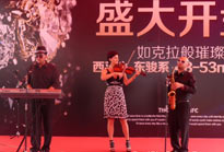 樂隊演出