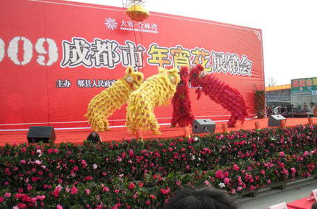 展銷會舞獅表演