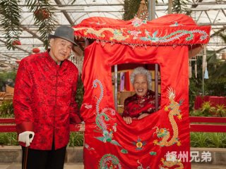 老人金婚壽慶